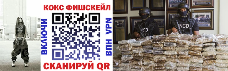 shop какой сайт  omg онион  Дятьково  Кокаин FishScale 