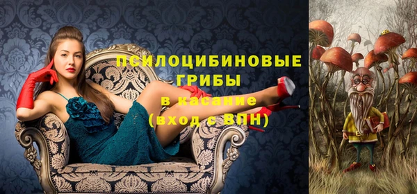 mdma Верхний Тагил